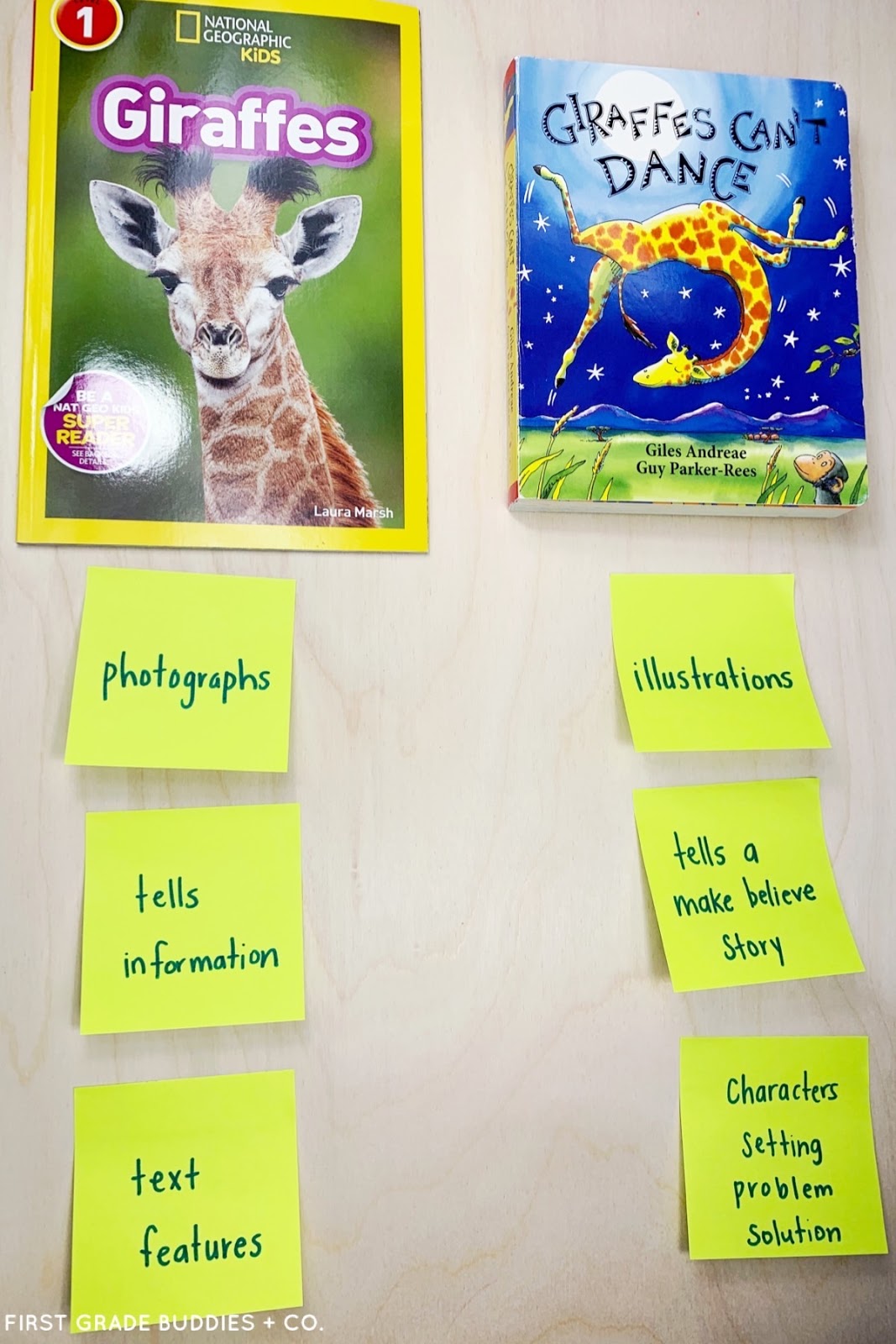 Fiction Vs. Nonfiction Books