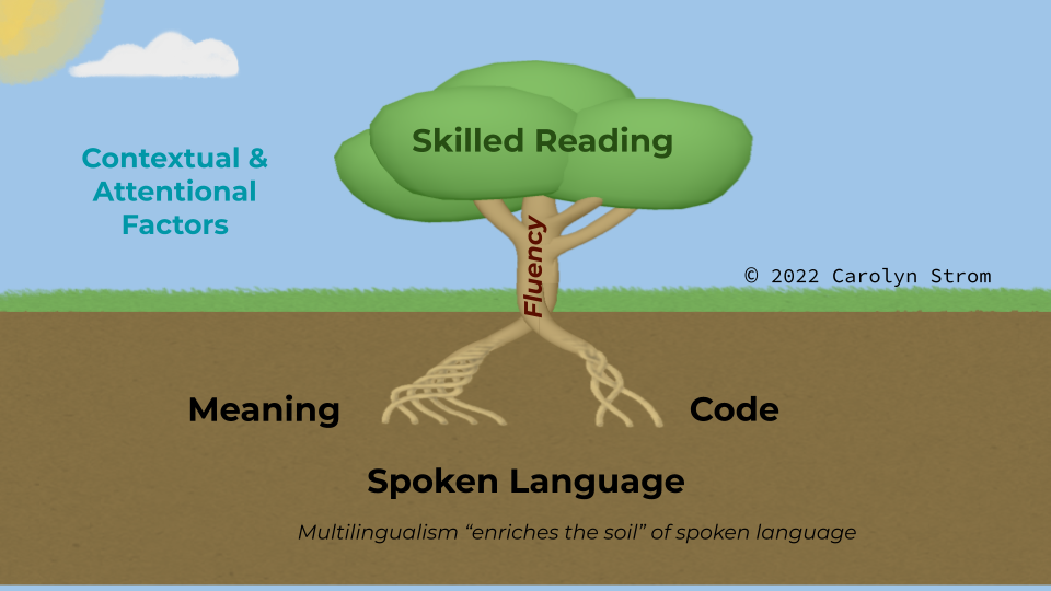 What is Skilled Reading the Product Of?